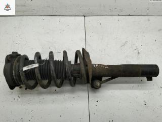 стойка передняя Volkswagen Golf 5 поколение 2004, 1.9 л., дизель, МКПП, серый, хетчбэк 5 дв., 1K0413031BF