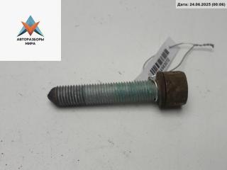 Болт крепления Volkswagen Passat B6 2007, 1.9 л., дизель, МКПП, чёрный, универсал