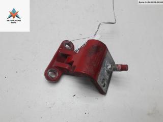 петля крышки багажника Volkswagen Passat B5 [рестайлинг] 2000, красный, универсал