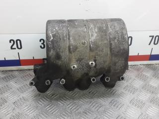 коллектор впускной Volkswagen Caddy 3 поколение 2007, 2.0 л., дизель, МКПП