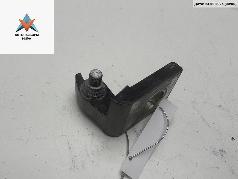 петля двери Skoda Octavia mk2 (A5 1Z) 2008, чёрный, хетчбэк 5 дв. - фото №1