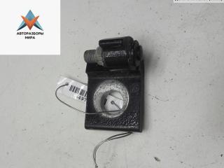 петля двери Skoda Octavia mk2 (A5 1Z) 2008, чёрный, хетчбэк 5 дв.