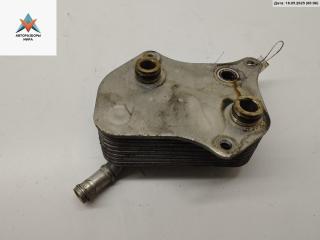 радиатор масляный Audi A4 B7 2005, 2.0 л., бензин, МКПП, серый, универсал, 06B117021