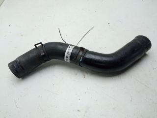 патрубок радиатора Subaru Forester 2010, 2.0 л., дизель