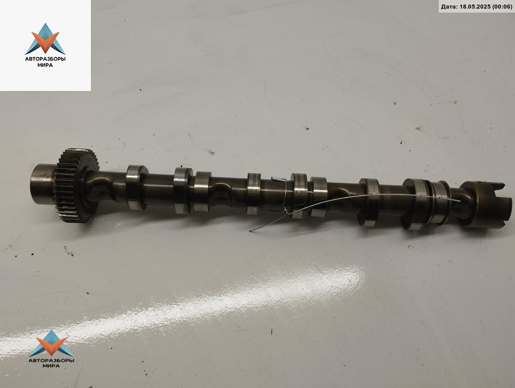 распредвал Audi A6 Allroad Quattro C6 2007, 3.0 л., дизель, АКПП, серый, универсал, 059109022BE - фото №1