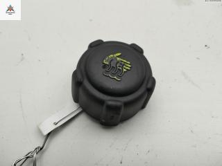 пробка расширительного бачка Renault Scenic 1 поколение [рестайлинг] 2003, 2.0 л., бензин, АКПП, серый, минивэн