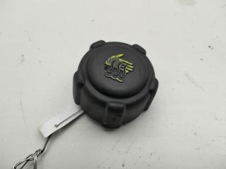 пробка расширительного бачка Renault Scenic 1 поколение [рестайлинг] 2003, 2.0 л., бензин, АКПП, серый, минивэн