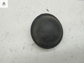 Крышка (заглушка) задняя фары Volkswagen Passat B5 [рестайлинг] 2003, 1.9 л., дизель, МКПП, серый, универсал, 02-341-1109N