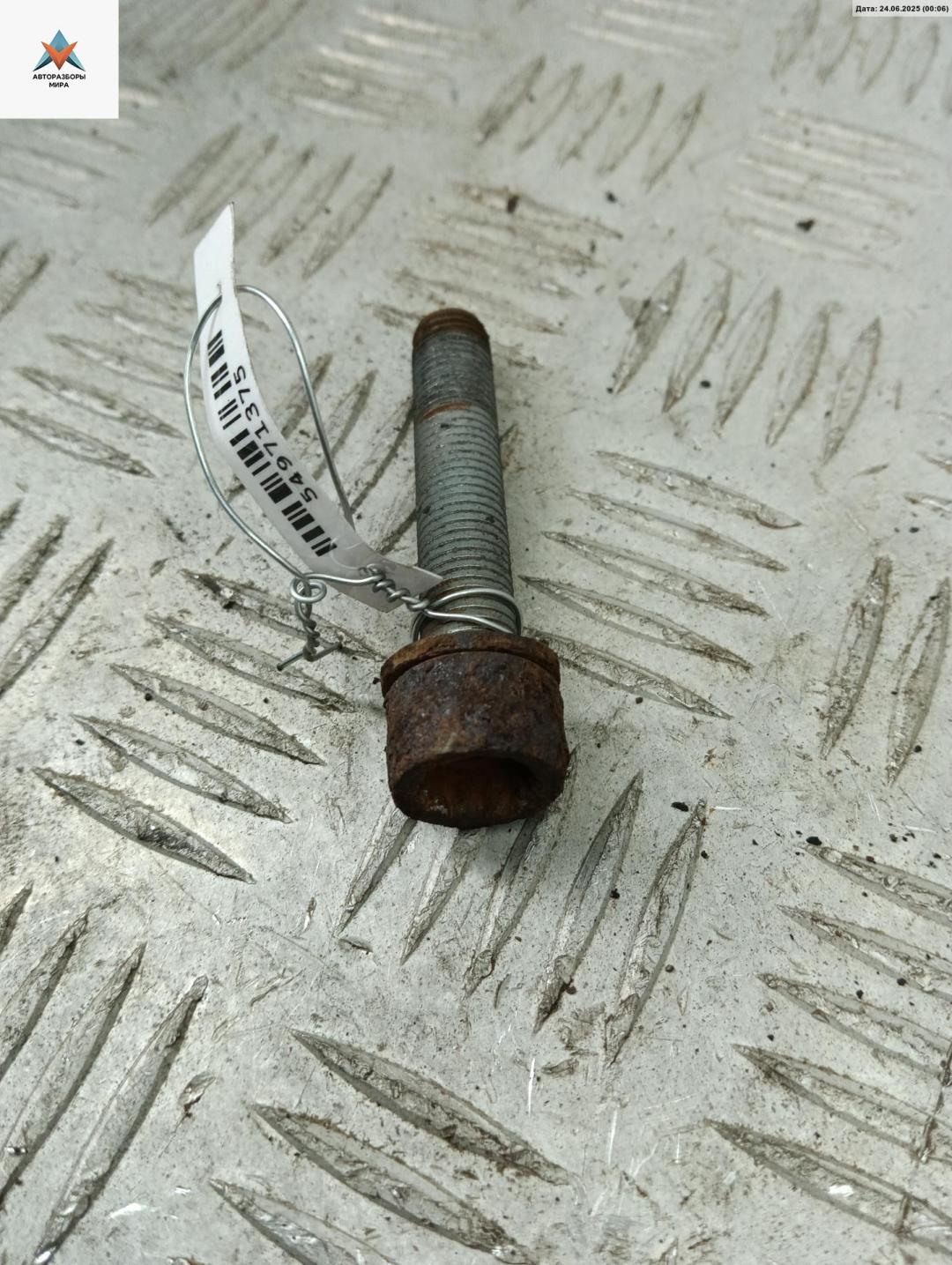 Болт крепления Volkswagen Golf 5 поколение 2005, 1.6 л., бензин, МКПП, серый, хетчбэк 3 дв. - фото №1