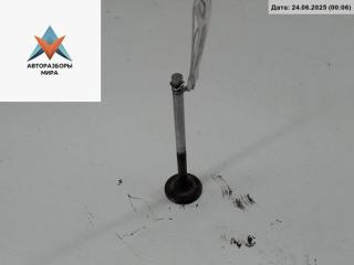 Клапан выпускной BMW 3 серия E46 [рестайлинг] 2005, 2.0 л., дизель, АКПП, чёрный, универсал, 2247077