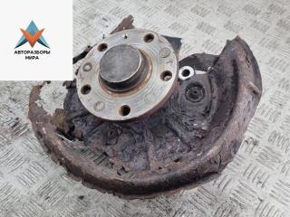 ступица задняя левая Volkswagen Golf 5 поколение 2004, 1.4 л., бензин, МКПП, серый, хетчбэк 3 дв.