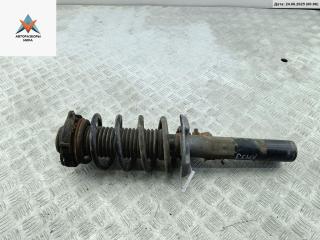 стойка передняя Volkswagen Passat B6 2005, 2.0 л., бензин, МКПП, серый, седан