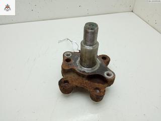 Цапфа задняя (ось ступицы) Fiat Linea 1 поколение 2008, 1.4 л., бензин, МКПП, бежевый, седан