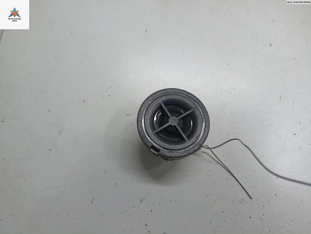 динамик высокочастотный (пищалка) Opel Astra G 2003, 2.2 л., дизель, МКПП, чёрный, универсал, 90379282 - фото №1