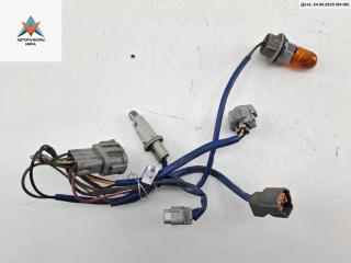 разъем (фишка) проводки Nissan Murano Z50 2006, 3.5 л., бензин, АКПП, чёрный, внедорожник 5 дв.