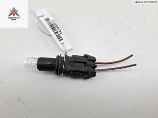 Патрон лампы фары Opel Astra G 2003, 1.6 л., бензин, МКПП, серый, универсал