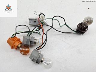 Патрон лампы фонаря Honda Accord 6 поколение [рестайлинг] 2001, 2.3 л., бензин, МКПП, серый, седан