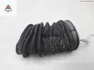 Гофра проводки двери Volkswagen Passat B5 [рестайлинг] 2001, 2.0 л., бензин, МКПП, синий, универсал, 8D0959845F