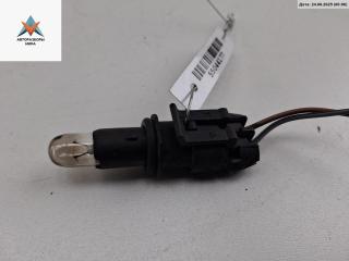 Патрон лампы фары Opel Zafira 1 поколение (A) 2002, 1.6 л., бензин, МКПП, серый, минивэн, VALEO