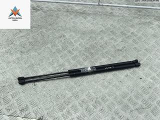 амортизатор крышки багажника (3-5 двери) Renault Scenic 1 поколение [рестайлинг] 2000, 1.6 л., бензин, АКПП, серый, минивэн, 7700434465