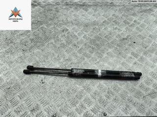 амортизатор крышки багажника (3-5 двери) Renault Scenic 2 поколение 2004, 2.0 л., бензин, МКПП, синий, минивэн, 8200174571