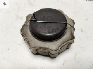 пробка расширительного бачка Renault Scenic 1 поколение [рестайлинг] 2000, 1.6 л., бензин, АКПП, серый, минивэн, 8200048024