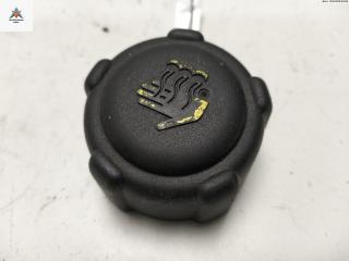 пробка расширительного бачка Renault Laguna 2 поколение 2001, 1.8 л., бензин, МКПП, синий, хетчбэк 5 дв., 8200048024