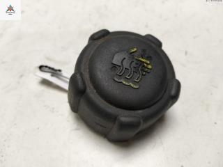 пробка расширительного бачка Renault Scenic 2 поколение 2004, 2.0 л., бензин, МКПП, синий, минивэн, 8200048024