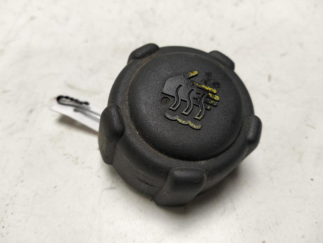пробка расширительного бачка Renault Scenic 2 поколение 2004, 2.0 л., бензин, МКПП, синий, минивэн, 8200048024 - фото №1