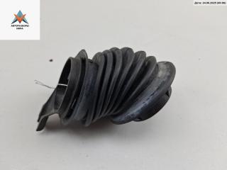 Гофра проводки двери Volkswagen Phaeton 1 поколение 2003, 3.2 л., бензин, АКПП, чёрный, седан, 3D0959843D