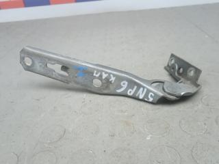 петля капота Audi A4 B7 2005, 1.8 л., Turbo, бензин, МКПП, седан, 8E0823302F