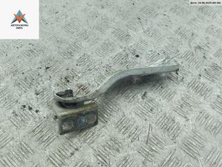 петля капота левая Fiat Ducato 3 поколение 2010, белый, микроавтобус