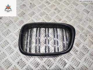 решетка радиатора BMW 5 серия E39 [рестайлинг] 2001, синий, универсал