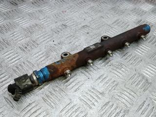 топливная рампа Citroen Jumper 2 поколение [рестайлинг] 2015, 2.2 л., дизель, МКПП, микроавтобус, A2C53288768