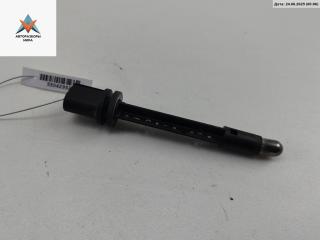 Патрон лампы фары Volkswagen Phaeton 1 поколение 2003, 3.2 л., бензин, АКПП, чёрный, седан