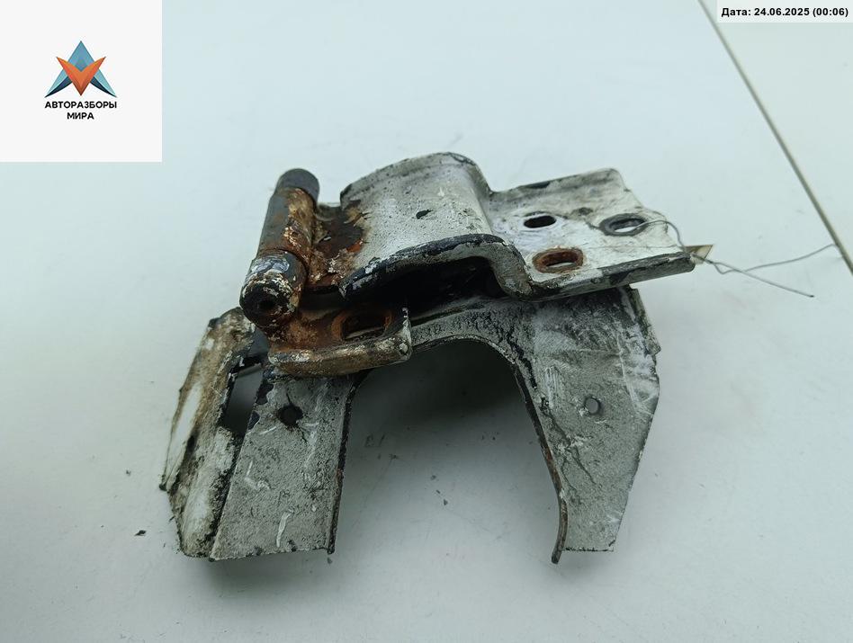 петля двери Citroen Jumper 2 поколение 2007, белый, микроавтобус - фото №1