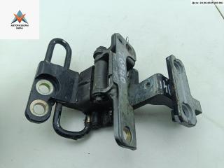 петля двери Volkswagen Phaeton 1 поколение 2003, чёрный, седан, 3D4881411B