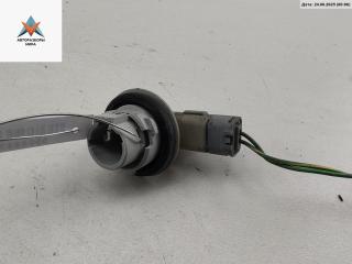 Патрон лампы фары Citroen Xsara Picasso 1 поколение [рестайлинг] 2006, 2.0 л., бензин, АКПП, серый, минивэн, 485