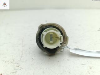 Патрон лампы фонаря Citroen C4 Grand Picasso 1 поколение 2008, 2.0 л., дизель, АКПП, серый, минивэн