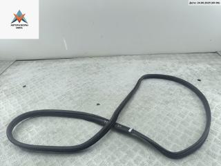 уплотнитель двери Peugeot 406 1 поколение 1997, 1.8 л., бензин, МКПП, белый, седан, 96584242RG