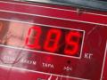 подсветка номера Volkswagen Sharan 1 поколение 1999, 1.9 л., дизель, МКПП, синий, минивэн, 7MO943021 - фото №4