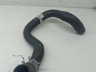 патрубок радиатора Ford Focus 1 поколение [рестайлинг] 2004, 1.8 л., бензин, 98AB8B274BF