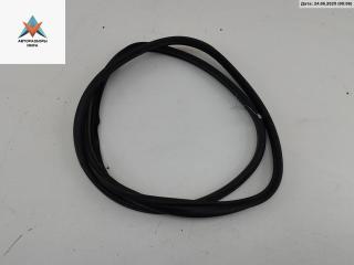 уплотнитель Citroen C4 Grand Picasso 1 поколение 2008, 2.0 л., дизель, АКПП, серый, минивэн