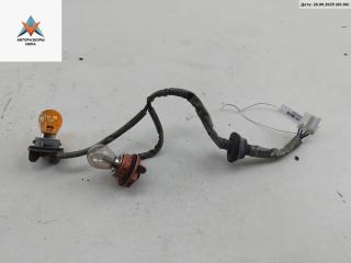 Патрон лампы фонаря Hyundai Santa Fe 2 поколение (CM) 2007, 2.2 л., дизель, МКПП, синий, внедорожник 5 дв.