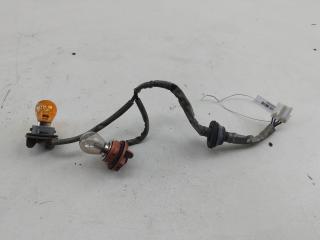 Патрон лампы фонаря Hyundai Santa Fe 2007, 2.2 л., дизель, МКПП, синий, внедорожник 5 дв.
