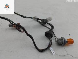 Патрон лампы фонаря Nissan X-Trail T30 [рестайлинг] 2004, 2.2 л., дизель, МКПП, чёрный, внедорожник 5 дв.