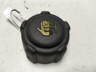 пробка расширительного бачка Renault Laguna 2 поколение 2003, 1.8 л., бензин, МКПП, синий, хетчбэк 5 дв., 8200048024