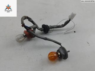 Патрон лампы фонаря Hyundai Santa Fe 2 поколение (CM) 2007, 2.2 л., дизель, МКПП, синий, внедорожник 5 дв.