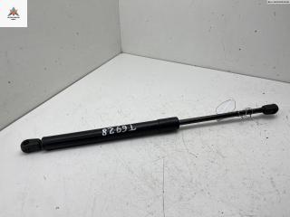 амортизатор крышки багажника (3-5 двери) Hyundai Santa Fe 2 поколение (CM) 2007, 2.2 л., дизель, МКПП, синий, внедорожник 5 дв., 81770-2B000