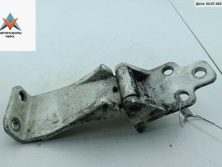 петля двери Hyundai H-1 Starex [рестайлинг] 2005, белый, минивэн